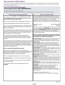 True Potential Global Managed Key Investor Information