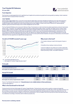 True Potential SEI Defensive Factsheet