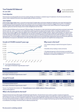 True Potential SEI Balanced Factsheet