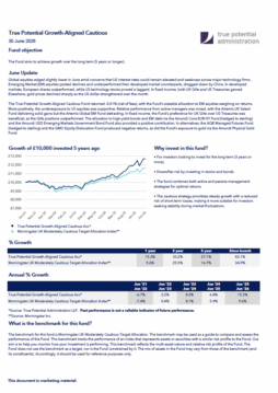 True Potential Growth-Aligned Cautious Factsheet